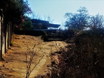 Imagen 7