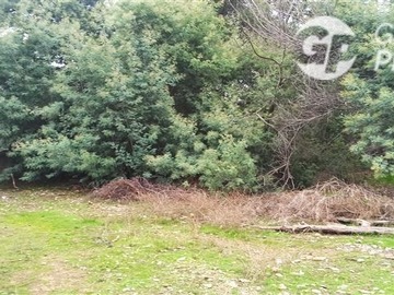 Imagen 6