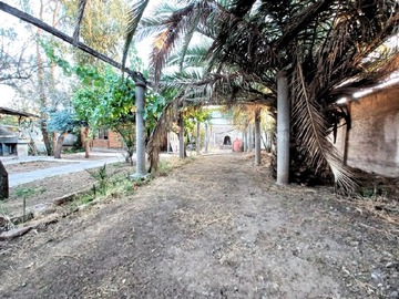 Imagen 7