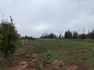 Imagen 5