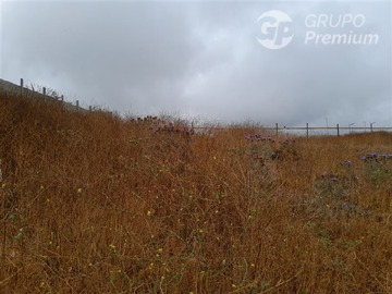 Imagen 9