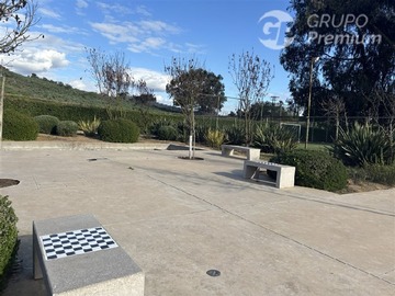 Imagen 12