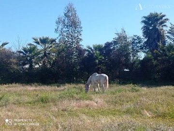 Imagen 6