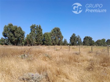 Venta / Sitio / Quintero