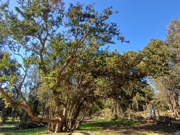 Venta / Sitio / Quintero