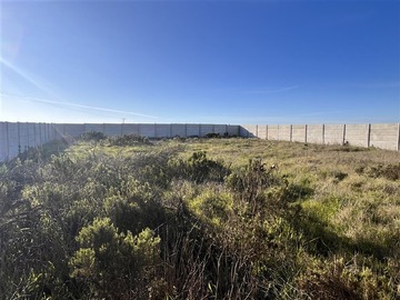 Venta / Sitio / Quintero