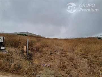 Imagen 7