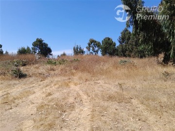 Imagen 7