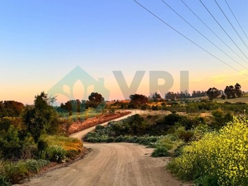 Imagen 9