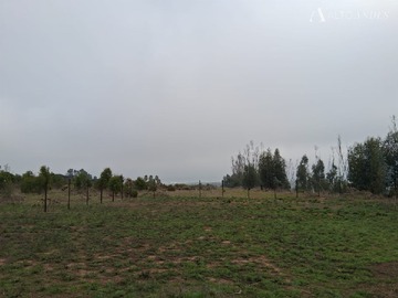 Venta / Sitio / Quintero