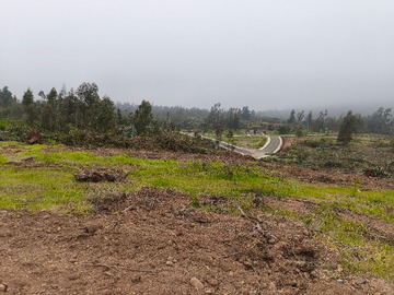 Venta / Sitio / Quintero