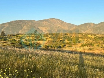 Imagen 11