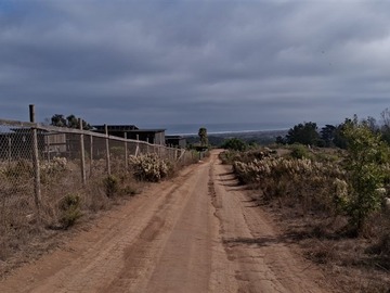 Imagen 11