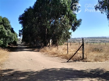 Venta / Sitio / Quintero