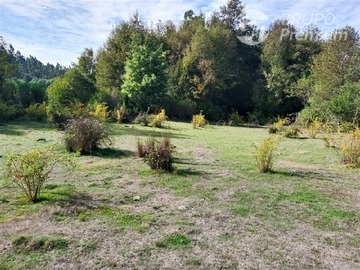 Venta / Sitio / Quirihue