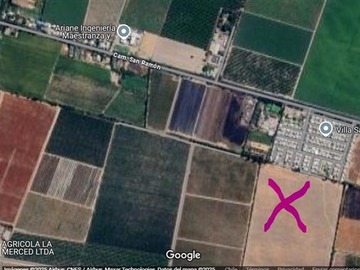 Imagen 19