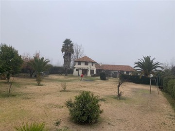 Imagen 6