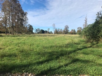 Venta / Sitio / Río Bueno