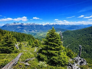 Venta / Sitio / Río Ibáñez