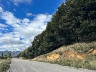 Venta / Sitio / Río Ibáñez