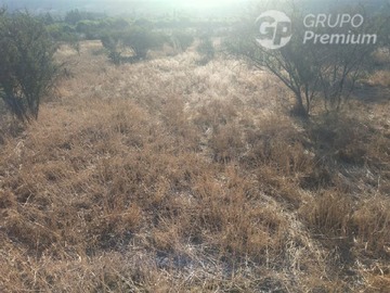 Imagen 6