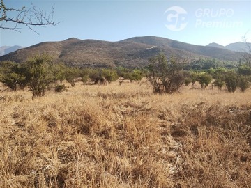 Imagen 10