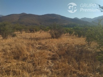 Imagen 7