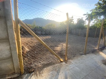Imagen 6