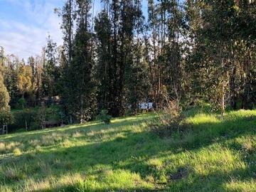 Venta / Sitio / San Antonio