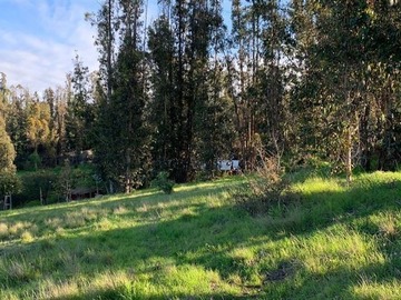 Venta / Sitio / San Antonio