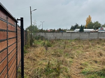 Venta / Sitio / San Carlos