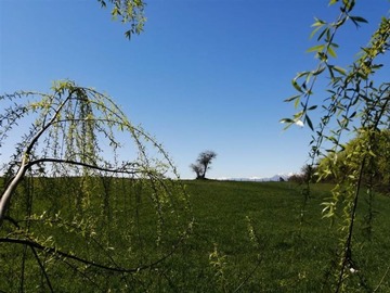 Venta / Sitio / San Clemente