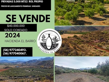 Venta / Sitio / San Esteban