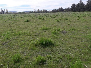 Imagen 8