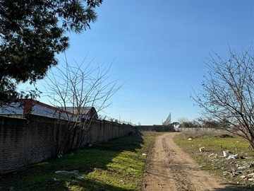 Imagen 10