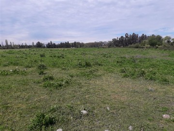 Imagen 5