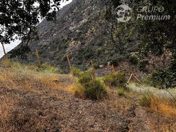 Imagen 21