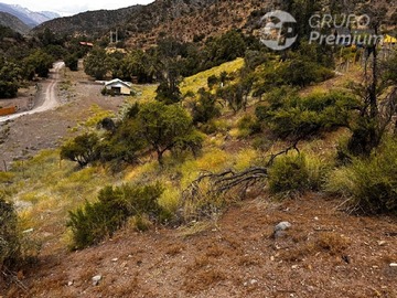 Imagen 22