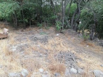 Imagen 8