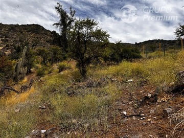 Imagen 9