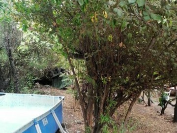 Imagen 9