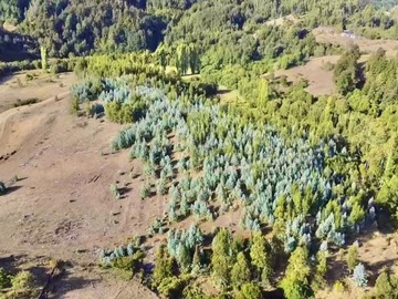 Venta / Sitio / San Juan de la Costa
