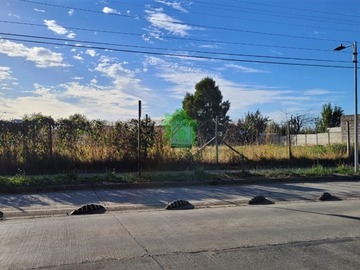 Imagen 5