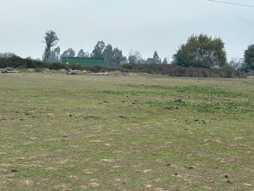 Imagen 7