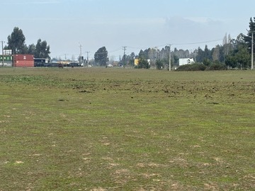 Imagen 6