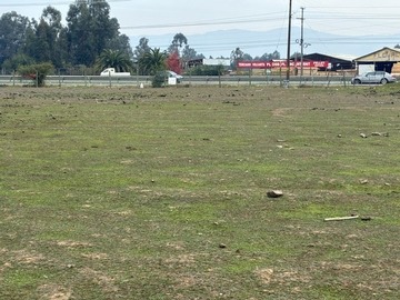 Imagen 5