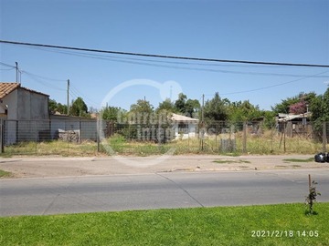 Imagen 5