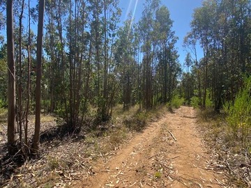 Venta / Sitio / Santa Juana