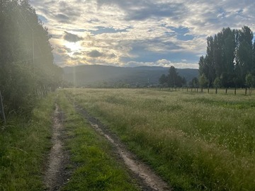 Venta / Sitio / Santa Juana