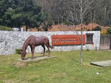 Venta / Sitio / Santa Juana